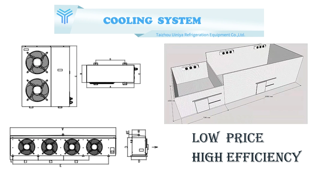 Blackfish Beverage/Fruit and Vegetable Display Freezer Supermarket Commercial Refrigeration Equipment